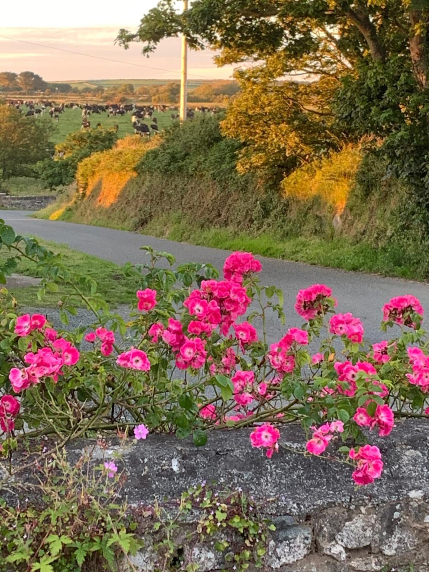 The Old Chapel * St. Davids (Pembrokeshire)